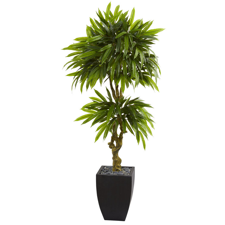 Latitude Run® 51" Artificial Mango Tree in Planter & Reviews Wayfair.ca